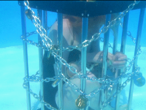 Dayle Krall and The Underwater Cage escape